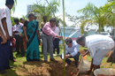 Dr. Himangshu Das, Director, planting a sapling as part of Swachh Bharat Mission
                                                 