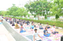 Staff Performing Yoga On International Yoga Day.
