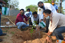 Plantation of sapling by Shri.Nachiketa Rout, Director(Offg)